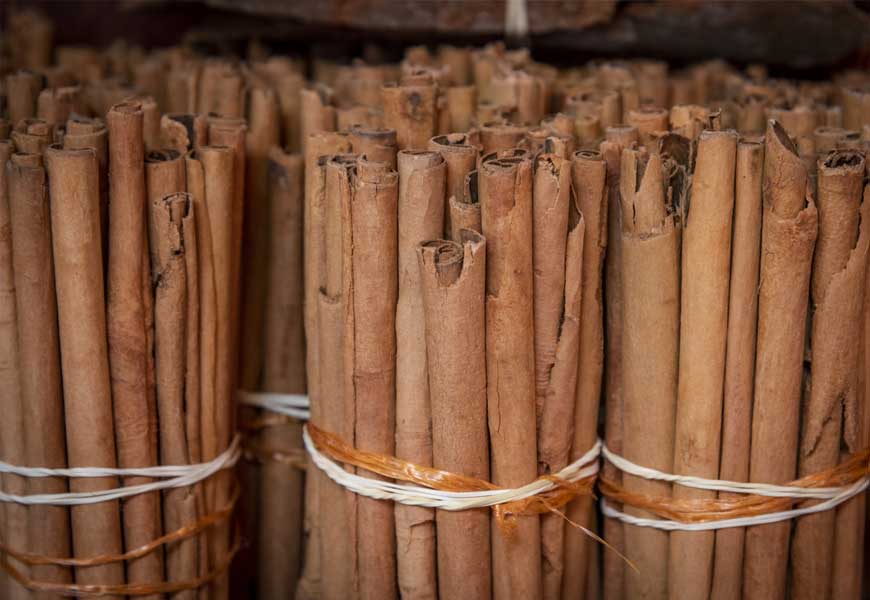 D'où provient la cannelle et quelle est l'espèce d'arbre qui la produit